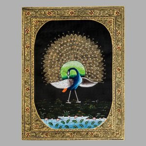 Dancing Peacock